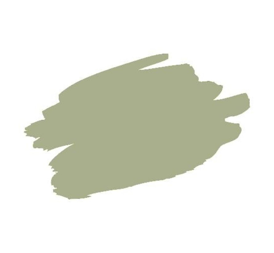 Groene muurverf woonkamer - Olive Sprig PPG1125-4